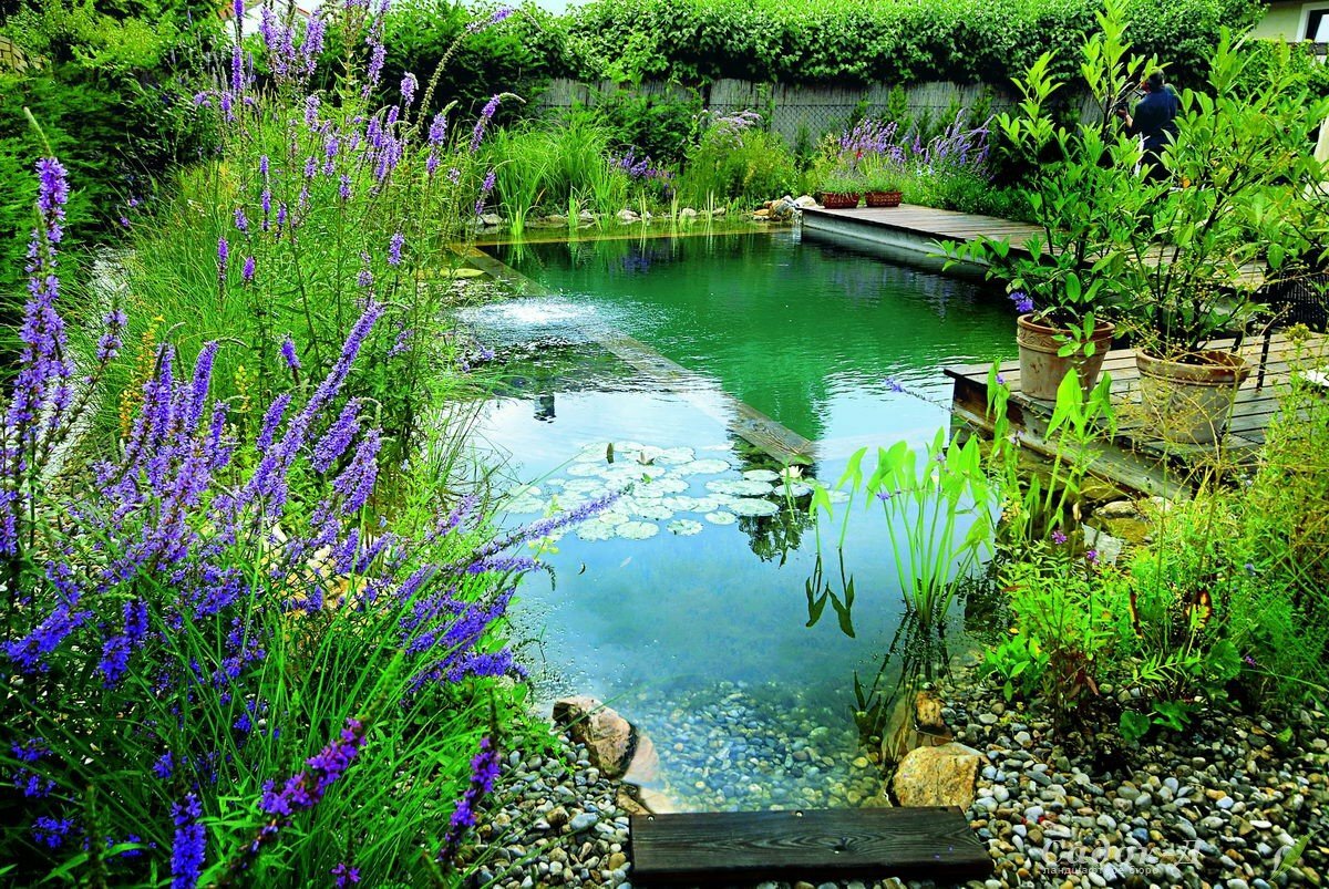 Как сделать пруд своими руками: 100 фото с инструкцией - огород, сад, балкон - медиаплатформа миртесен