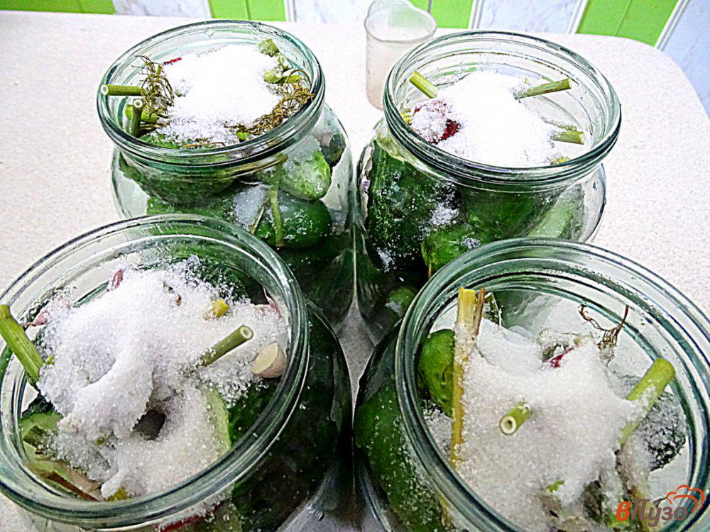 Маринование огурцов на зиму: рецепты хрустящие на 1 литр