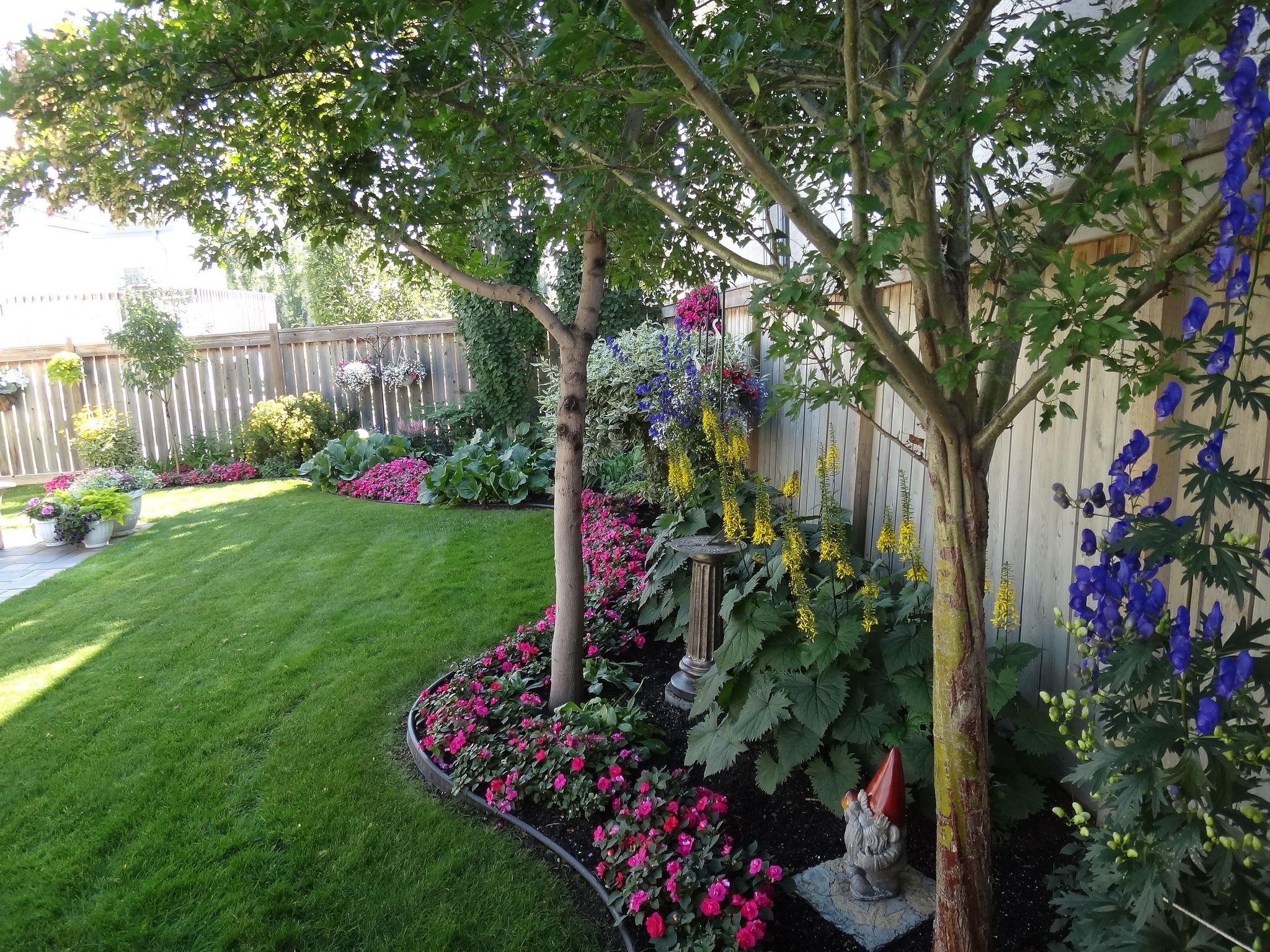 Что посадить под деревьями: цветы, растения или овощи? в огороде или саду в тени (40+ фото & видео)+отзывы
