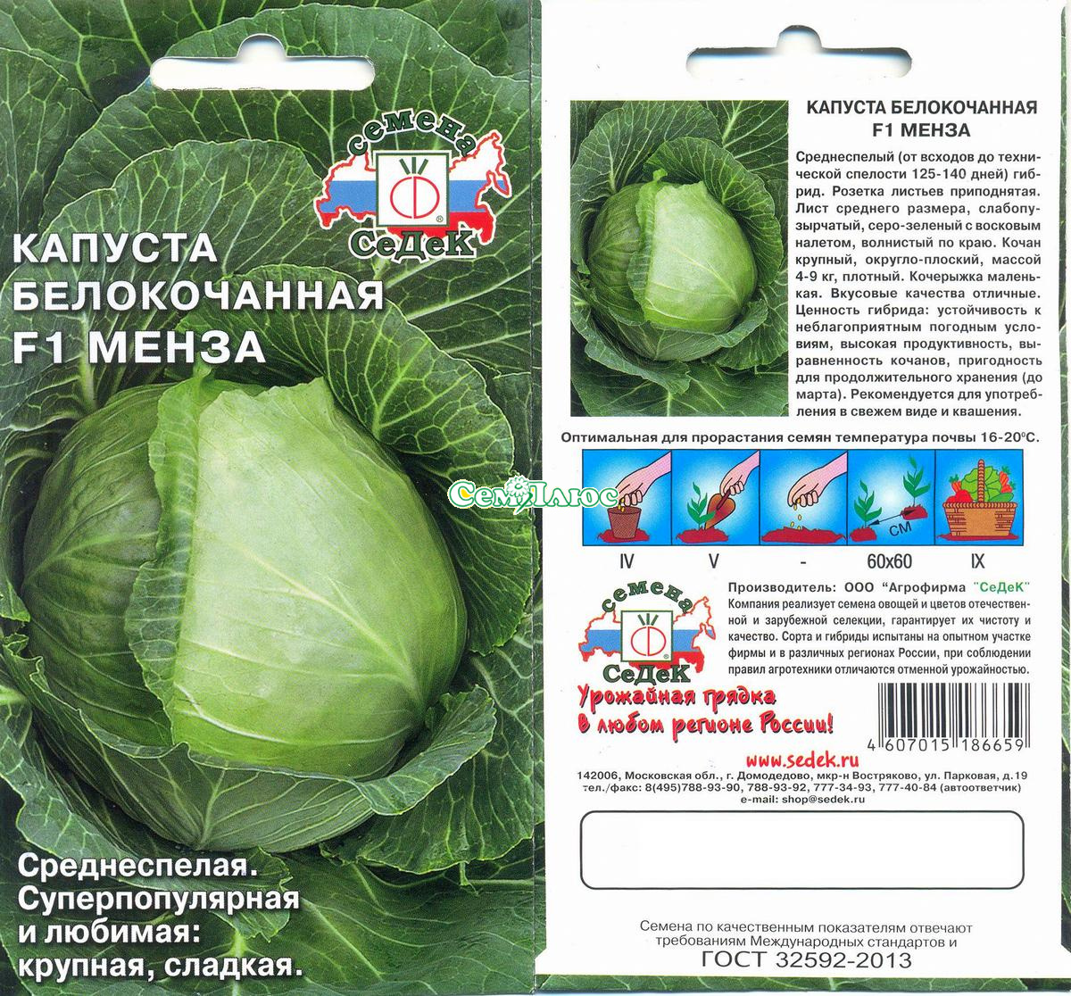 Описание белокочанной капусты Слава, выращивание и борьба с вредителями