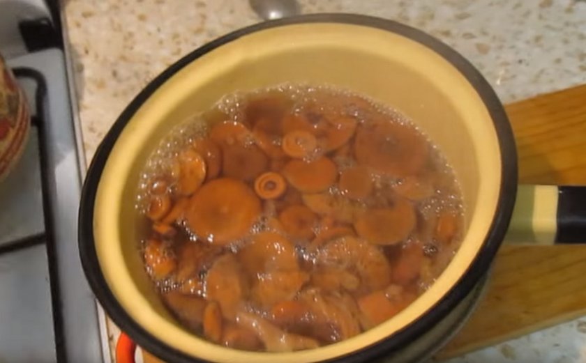Рыжики на зиму - рецепты приготовления соленой закуски холодным и горячим способом