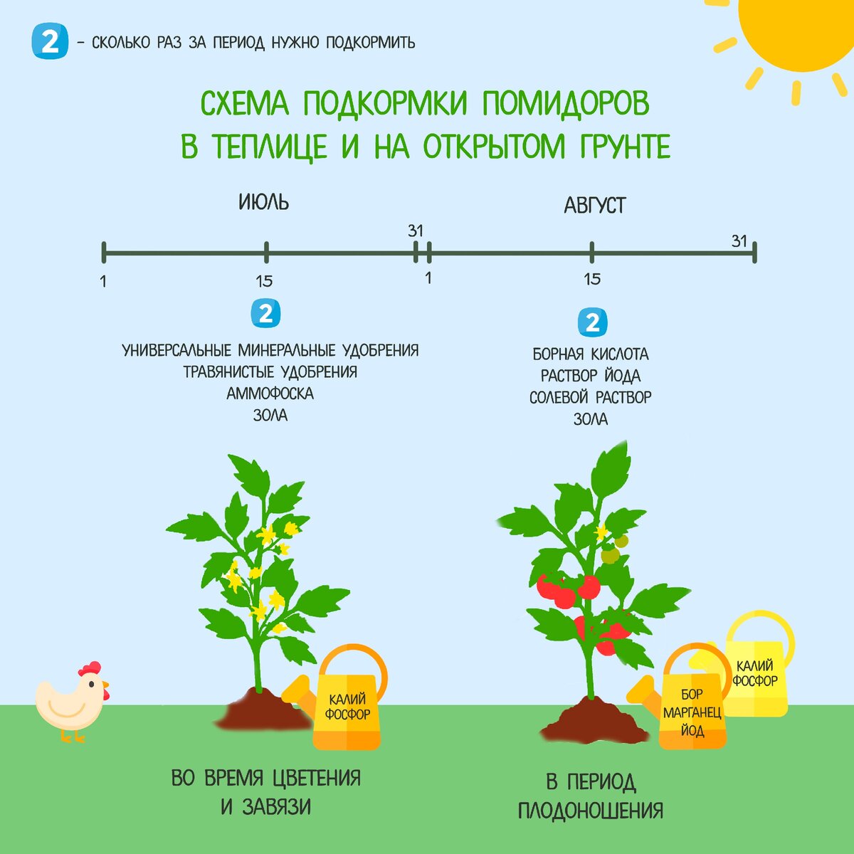 Чем удобрять помидоры в теплице ➤ как правильно делать подкормку осенью