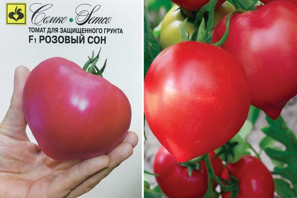 Семена томат розовый шлем: описание сорта, фото. купить с доставкой или почтой россии.