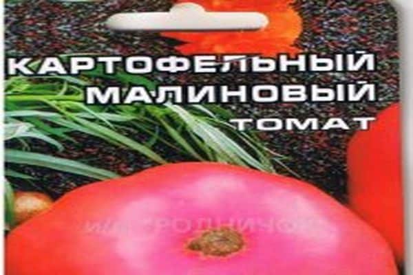 Томат картофельный малиновый: характеристика и описание, отзывы, фото, сибирский сад