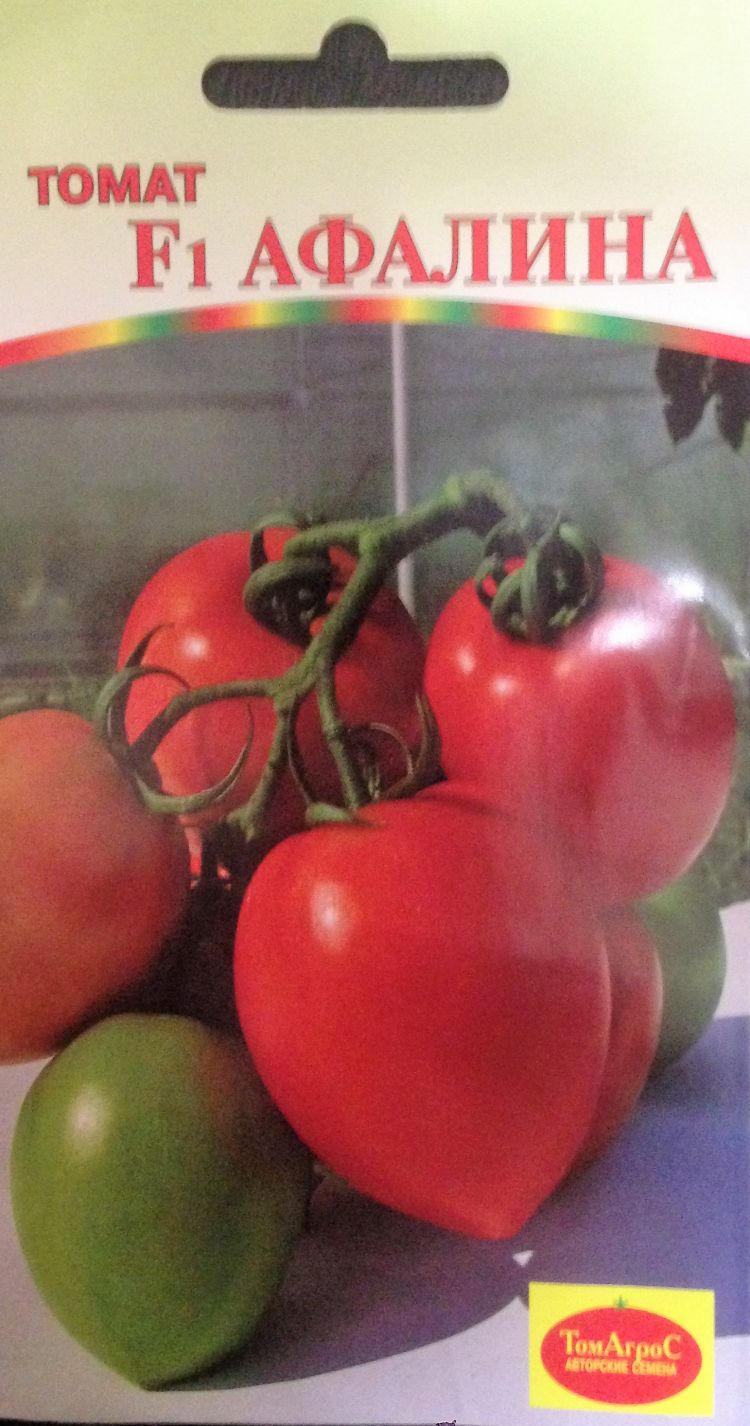 Описание сорта томат шунтукский великан и его характеристики – дачные дела