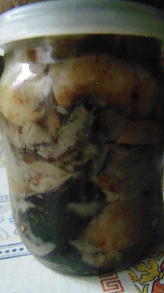 Засолка грибов на зиму в банках, рецепты, способы соления.