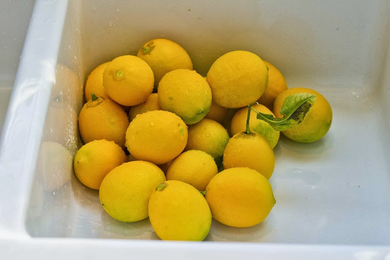 Сохранить лимоны в домашних