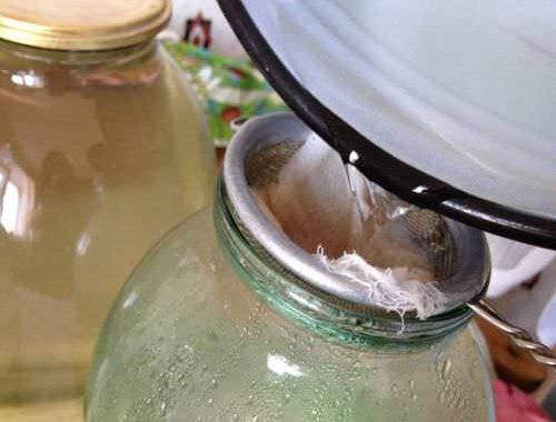 8 рецептов кваса из березового сока в домашних условиях