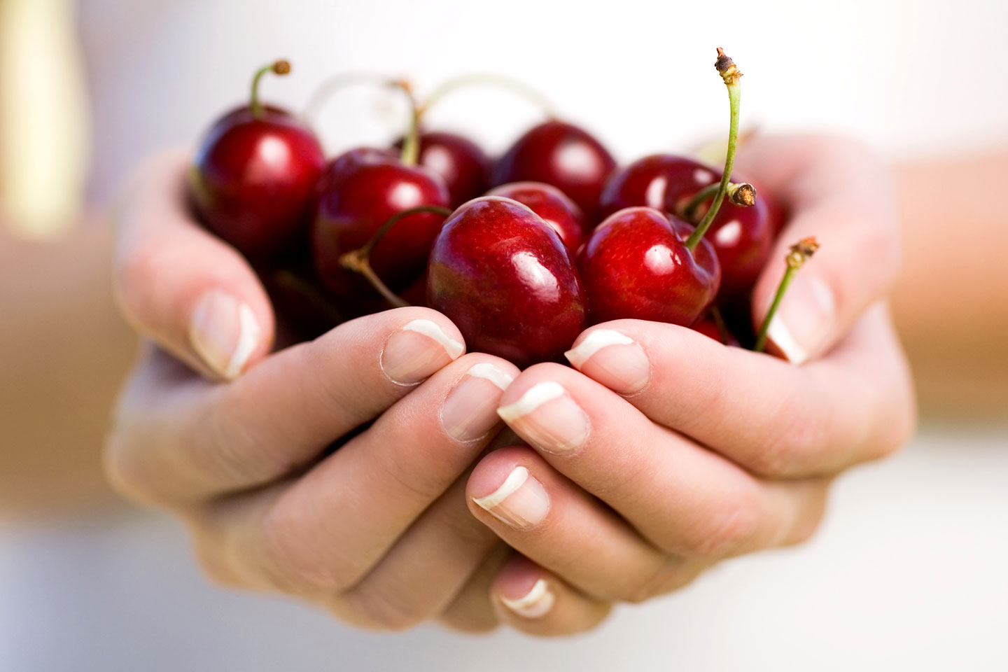 Польза и вред вишни для здоровья человека