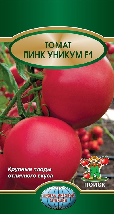 Уникальный гибрид из голландии — томат «пинк уникум» : описание сорта и фото