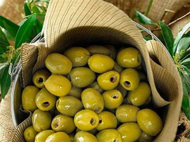13 лучших сортов оливок и как выбрать деликатес правильно