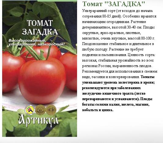 Описание и характеристики томатов сорта Загадка, урожайность и выращивание