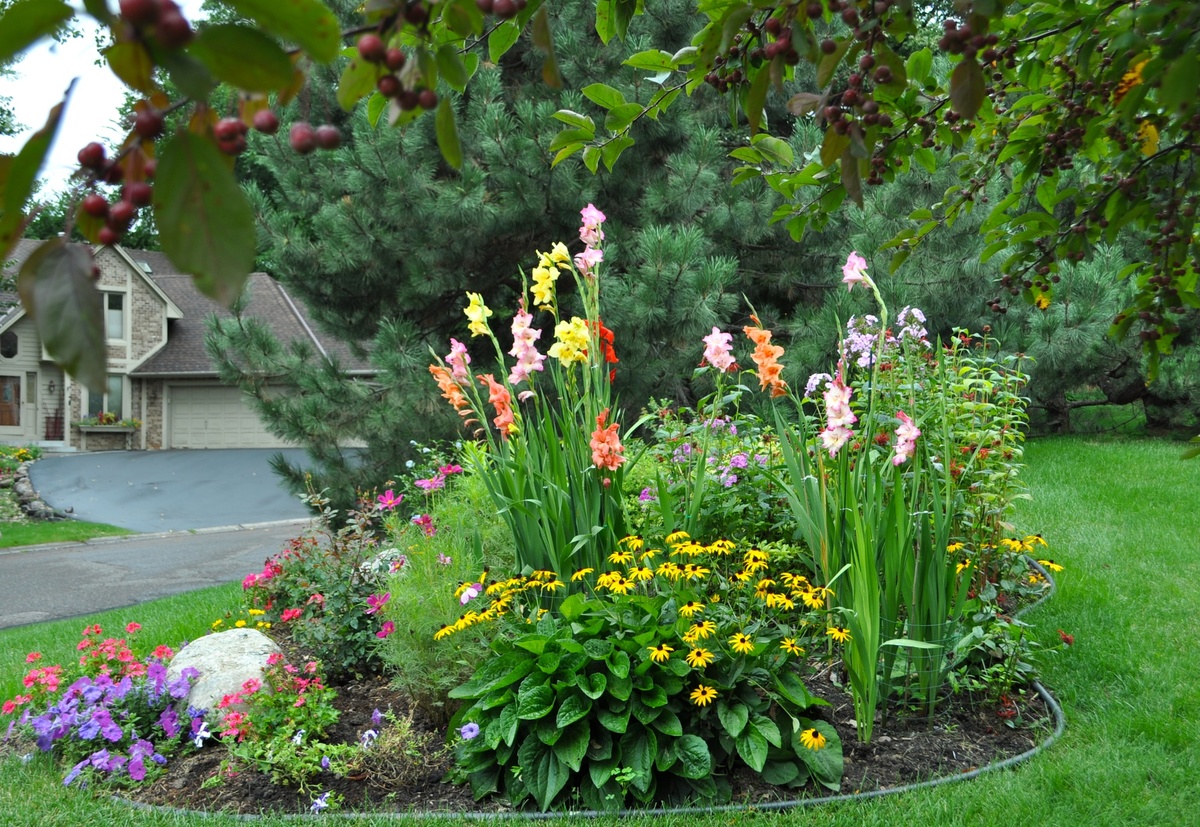 Лилейники в ландшафтном дизайне (44 фото): посадка на дачном участке с ирисами, хостами и другими цветами на клумбе в саду