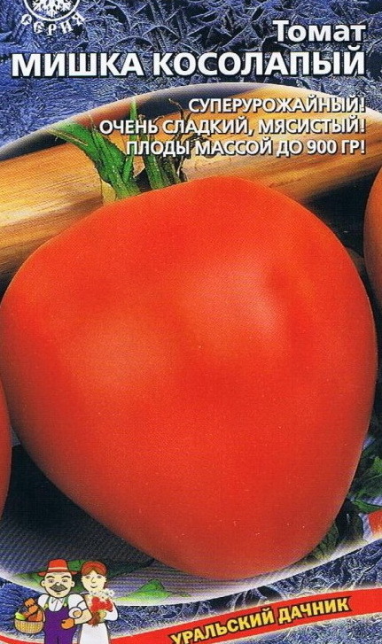 Мясистый и очень вкусный томат «мишка косолапый»: отзывы и агротехнические приемы для повышения урожая