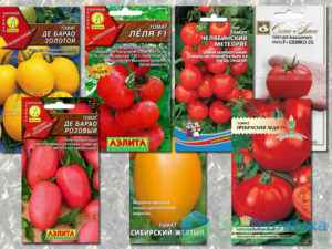 Выбираем сорта помидоров для теплиц в подмосковье на 2021 год: фото и отзывы