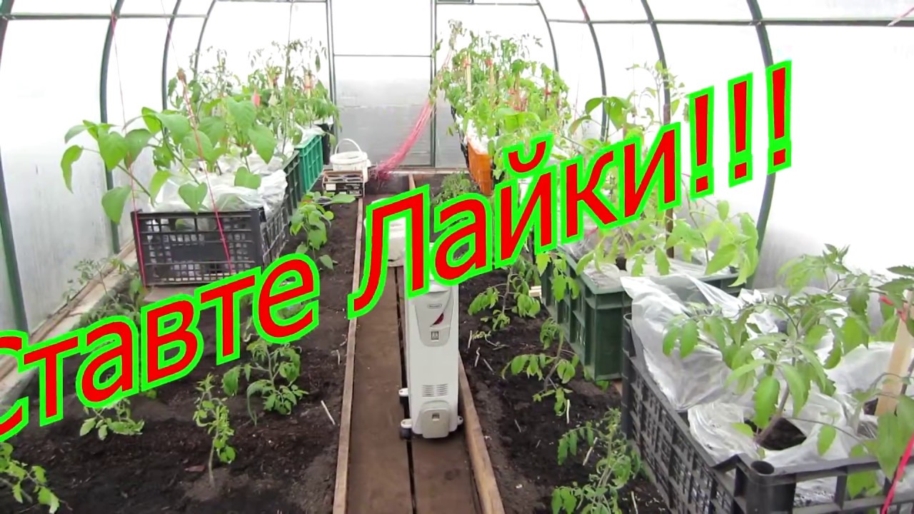 Парник для выращивания зелени своими руками > фото + видео сборки