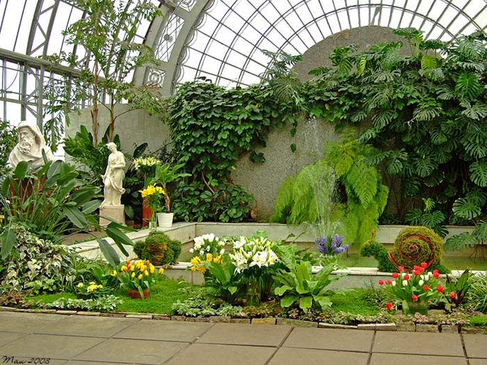 Ботанический сад в твери: сказочное чудо в стиле русского романтизма