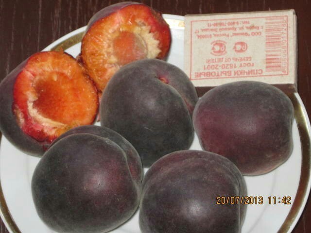 Черный абрикос черный принц: как вырастить экзотический фрукт