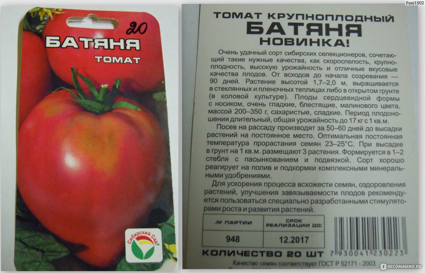 Описание сорта томата Краснобай, особенности выращивания и ухода