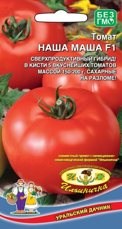 Замечательный томат, рекомендованный для выращивания в теплицах — гибридный сорт «кукла»