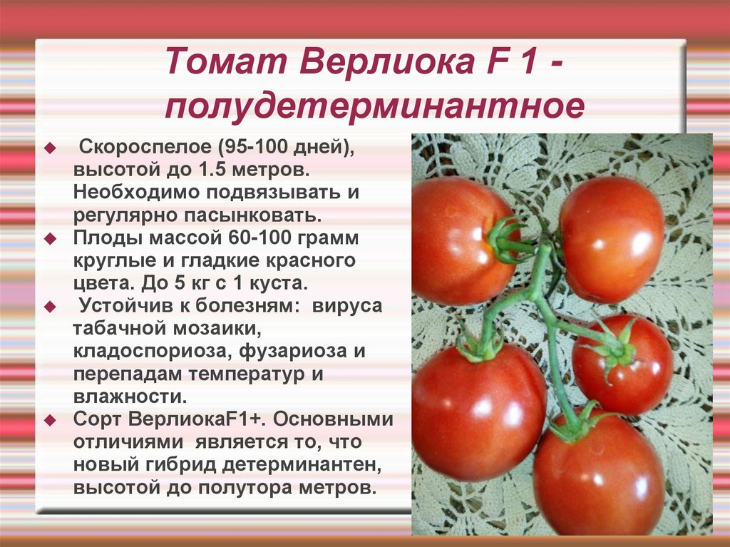 Характеристика томата Палка и особенности выращивания американского сорта