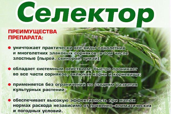 Как выбрать гербициды от сорняков: разновидности удобрений, отзывы и описание средства торнадо