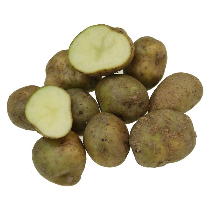 Картофель сорта гулливер: описание, особенности выращивания, отзывы