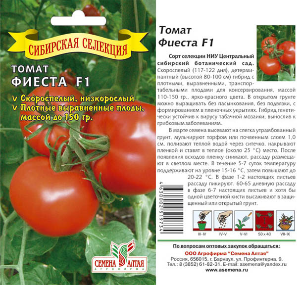 Фото, отзывы, описание, характеристика, урожайность сорта помидора «толстушка»