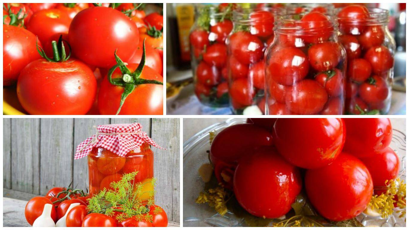 Какие сорта томатов лучше использовать для консервирования на supersadovnik.ru