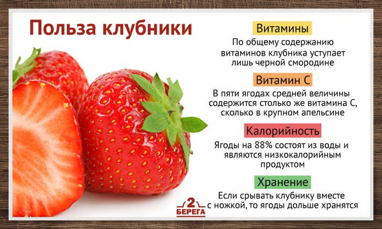 Клубника: польза и вред для здоровья человека, противопоказания к употреблению