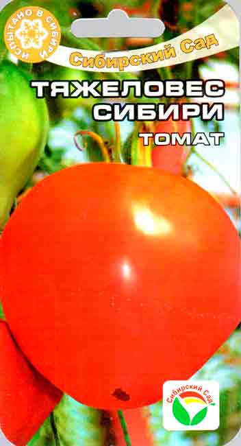 Томат сибирский тяжеловес описание сорта