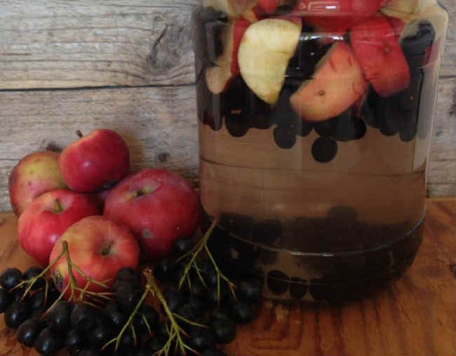 17 простых рецептов приготовления компота из черноплодной рябины на зиму