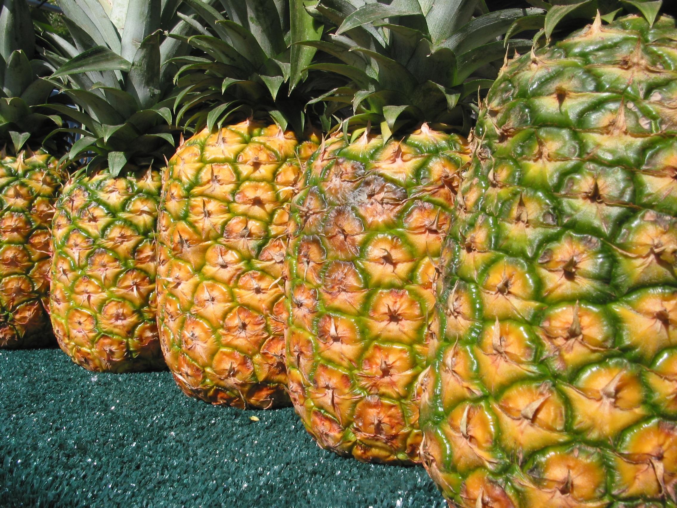 Как выглядит спелый ананас фото