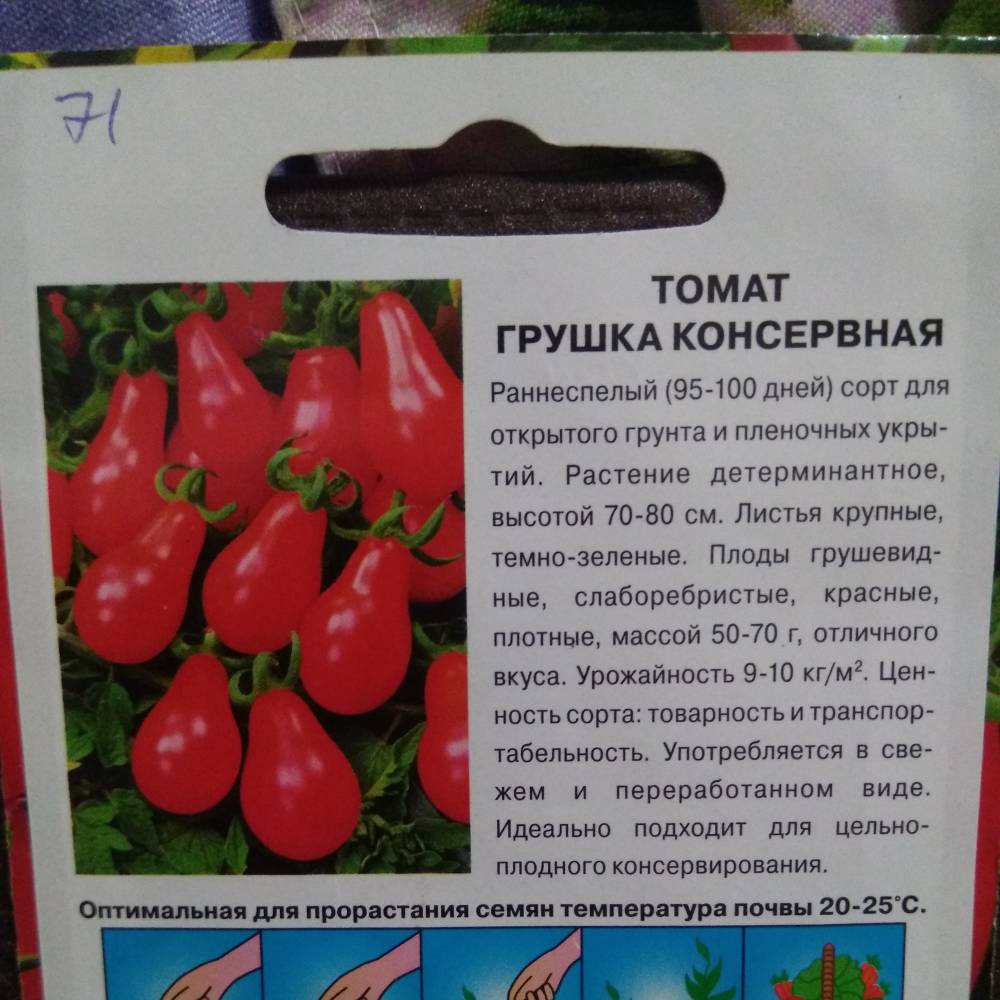 Томат "груша красная": описание сорта, фото, особенности выращивания отличного урожая помидор русский фермер