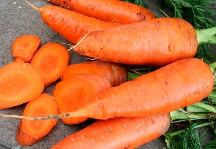 Лучшие сорта моркови для выращивания в открытом грунте: ранние, среднеспелые, поздние, урожайные, вкусные, для хранения, для посадки под зиму