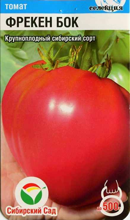 Описание томата Фрекен Бок, выращивание рассадным способом и уход за помидорами