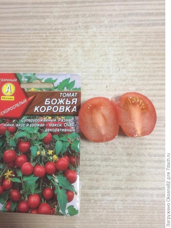 Томат новичок: описание и характеристика сорта, особенности посадки и выращивания помидоров, отзывы тех, кто сажал, фото