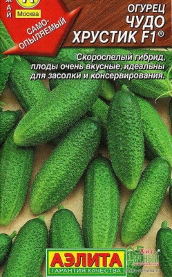 Особенности выращивания сорта огурцов «хрустик f1»