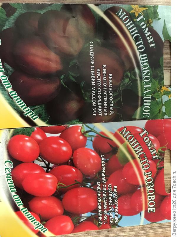 Сорта томатов, самые популярные