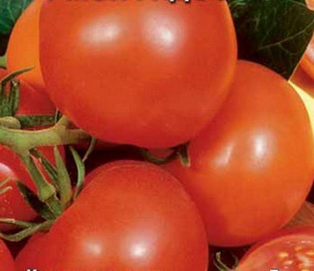 Характеристика томата детская сладость и правила выращивания сорта в открытом грунте