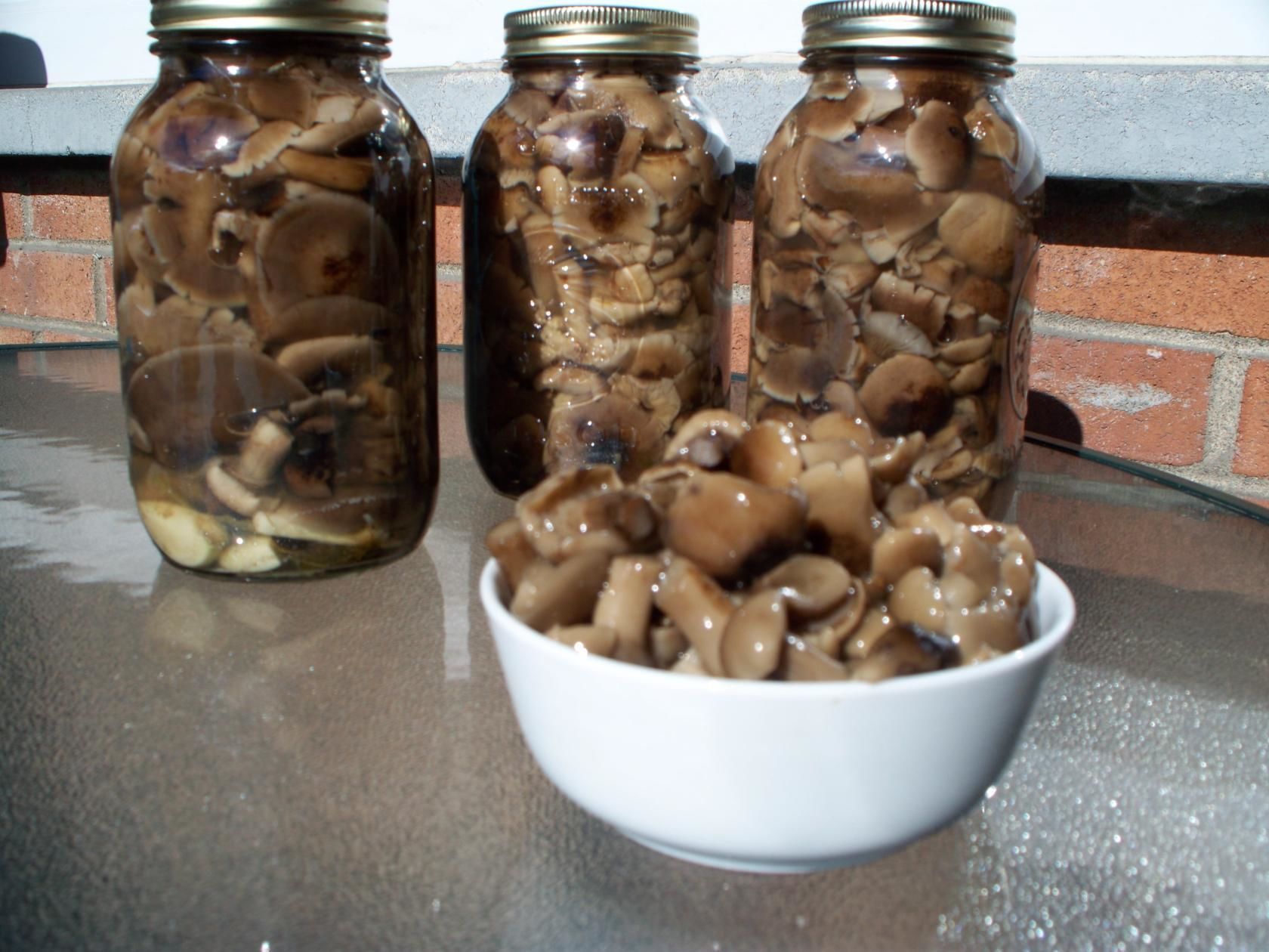 Засолка грибов на зиму - рецепты