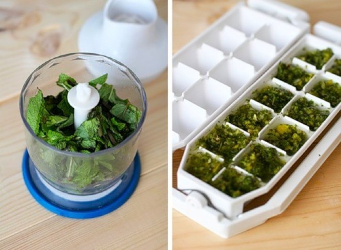Как правильно хранить свежую зелень в холодильнике секреты и полезные советы.