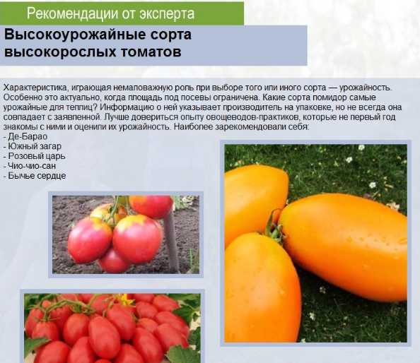 Описание сорта томата боливар f1, его характеристика и урожайность