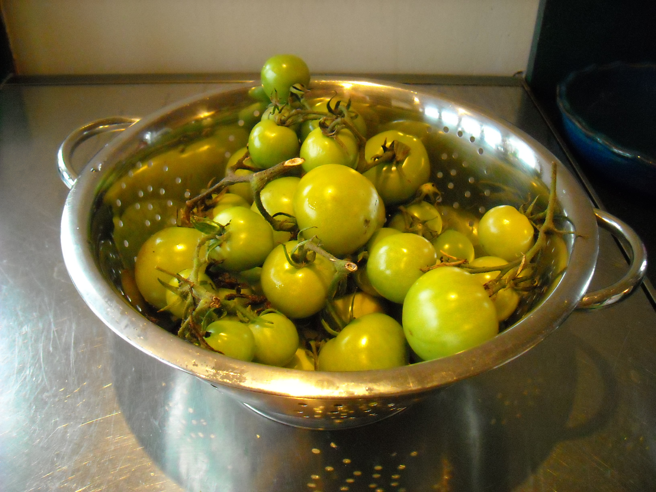 Как приготовить малосольные зеленые помидоры