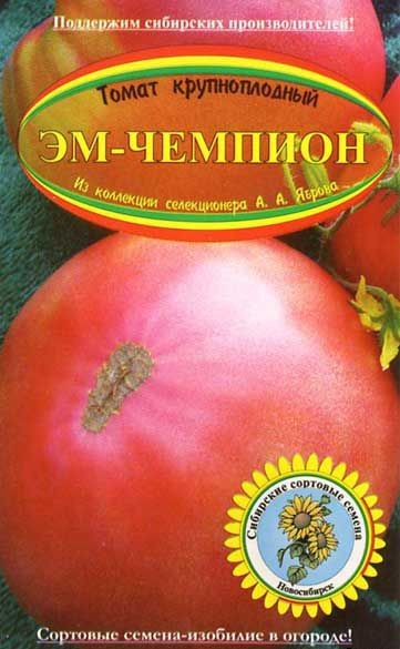Томат "эм чемпион": описание, характеристика сорта, кто сажал, особенности помидоров русский фермер