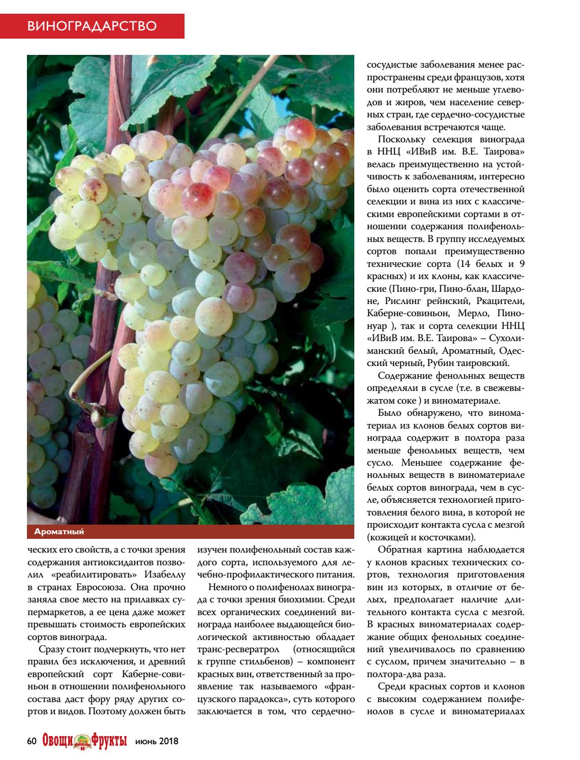 Виноград ркацители: описание сорта винограда