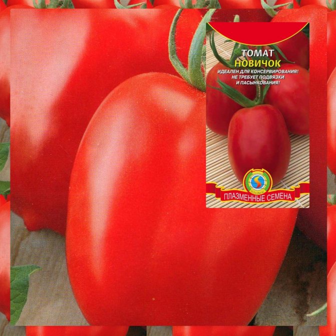 Обзор лучших сортов молотых томатов: ранние, сладкие, урожайные