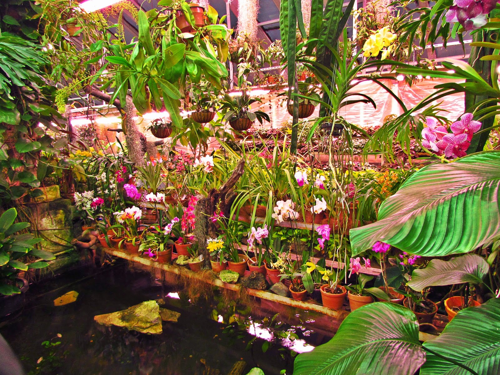 Ботанический сад в Самаре: райский уголок среди большого города