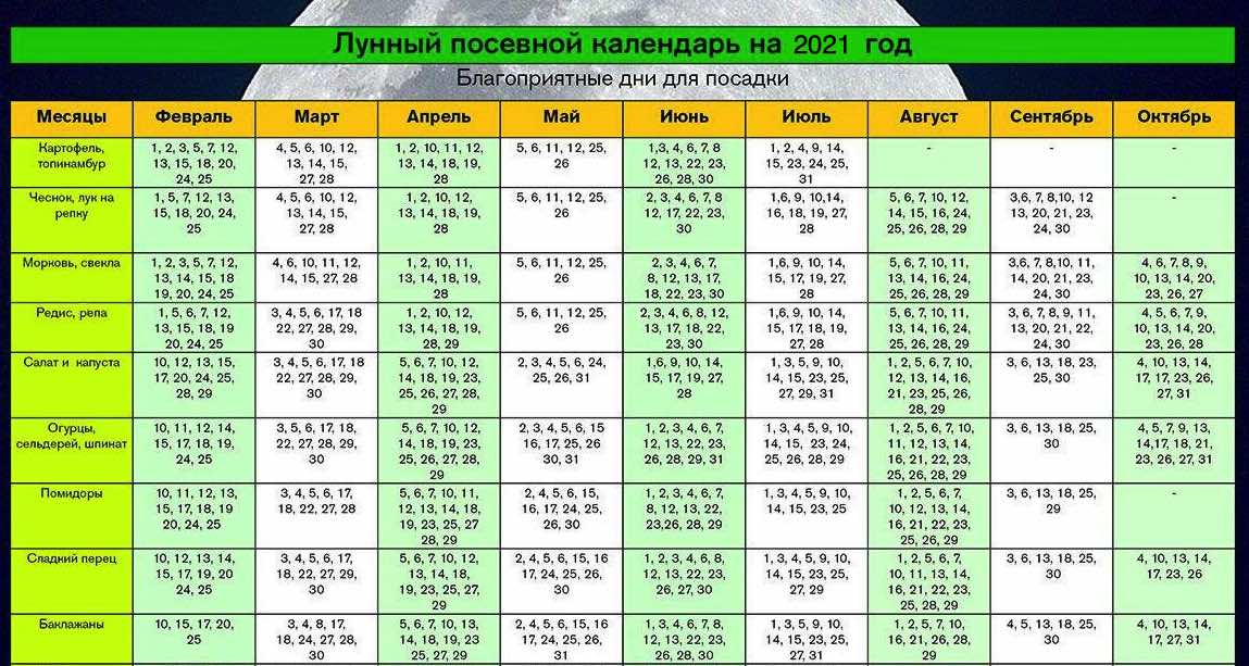 Посадка огурцов на рассаду в 2021 году: по лунному календарю, в мае, в июне, благоприятные дни