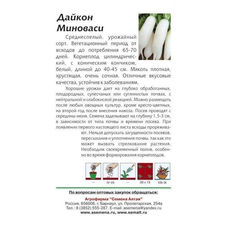 Лучшие сорта дайкона. описание сортов, выращивание и уход, фото и видео